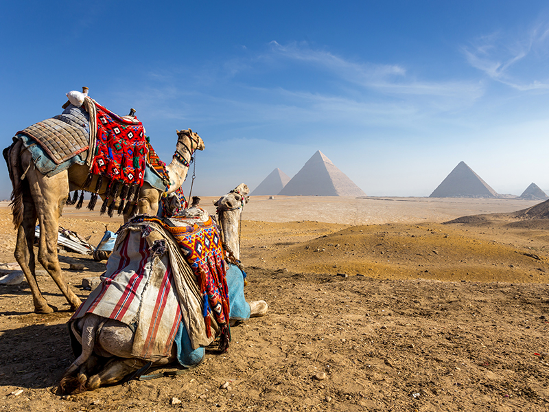 Voyage organisé en Égypte