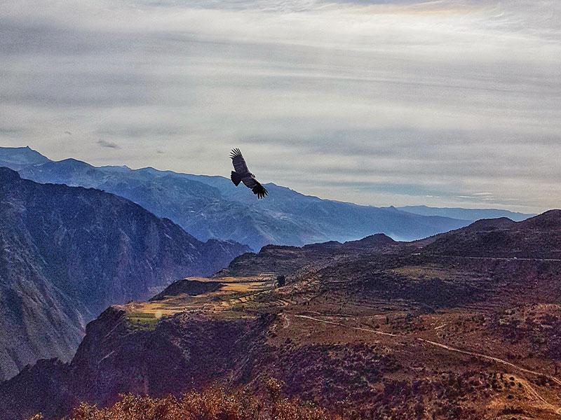 Voyage organisé au Pérou