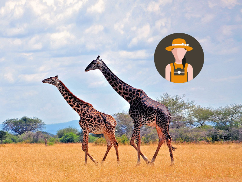 Voyage organisé en Afrique du Sud, Zimbabwe & Botswana (spécial célibataires et personnes seules)