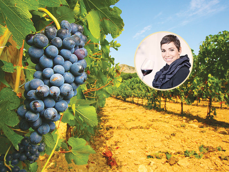 Au cœur des vignobles bordelais en compagnie d'Élyse Lambert