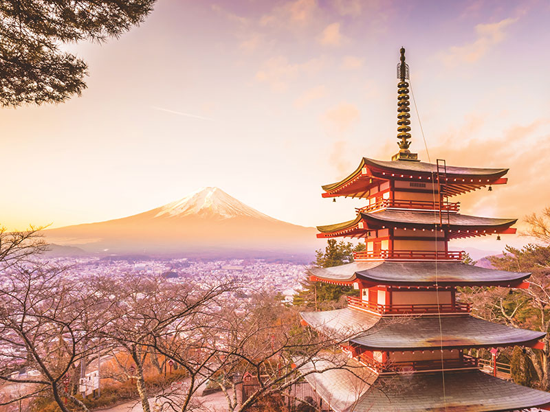 Croisière accompagnée L'authentique Japon