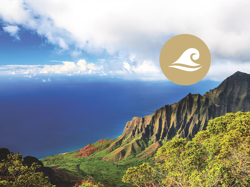 Vague d'or - Croisière accompagnée Le meilleur des îles hawaïennes