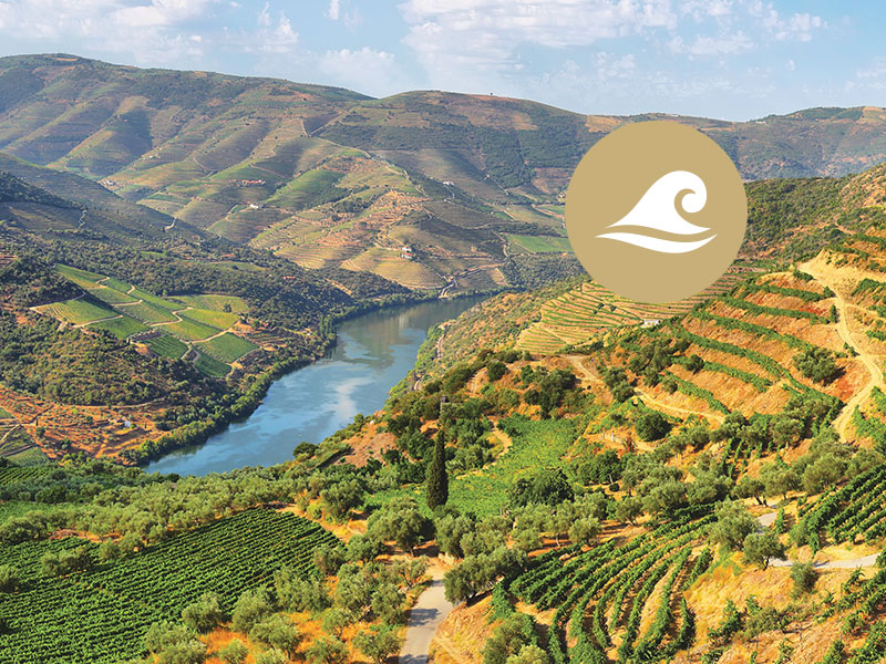 Vague d'or - Croisière fluviale Le séduisant Douro