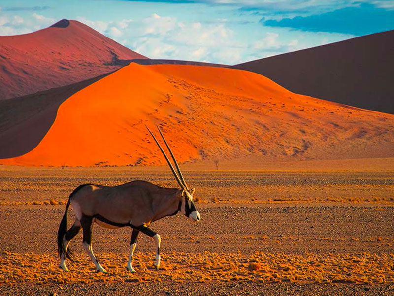 Voyage organisé en Namibie