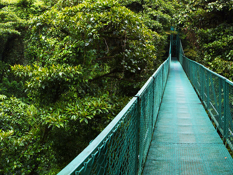Voyage organisé au Costa Rica