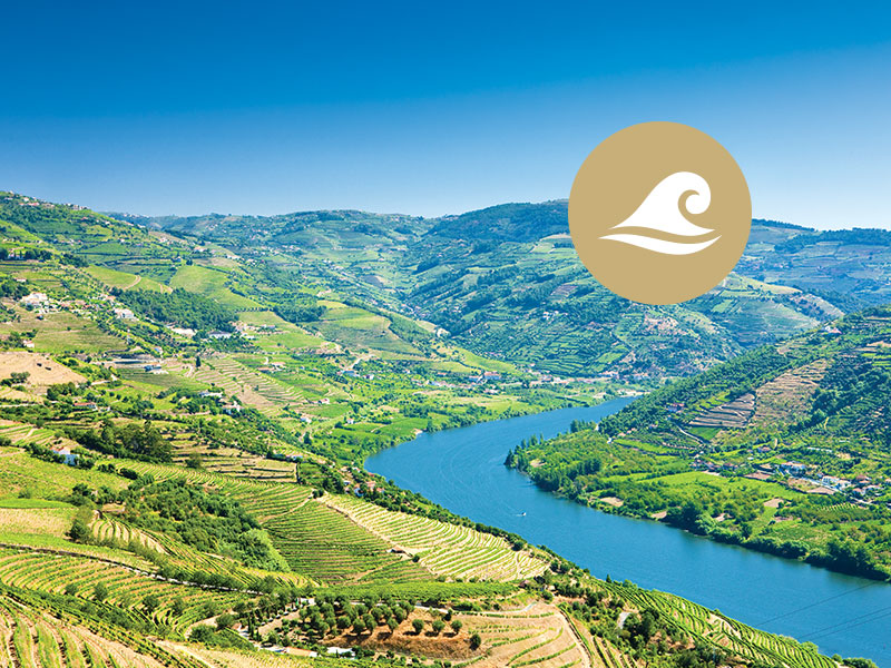 Le fleuve du Douro vu de la ville