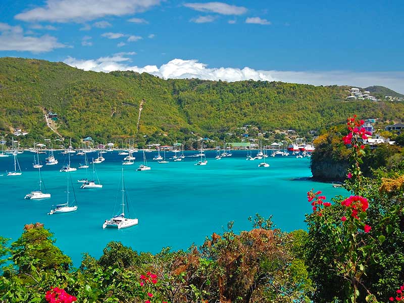 Catamaran dans une baie avec végétation luxuriante