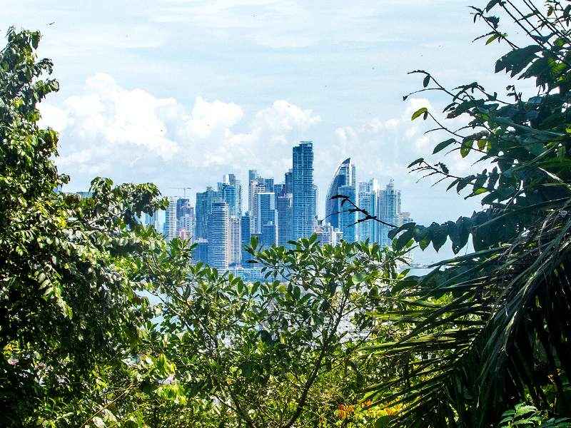 Ville de Panama vue depuis la forêt