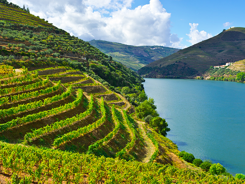 Vignoble de la vallée du Haut Douro