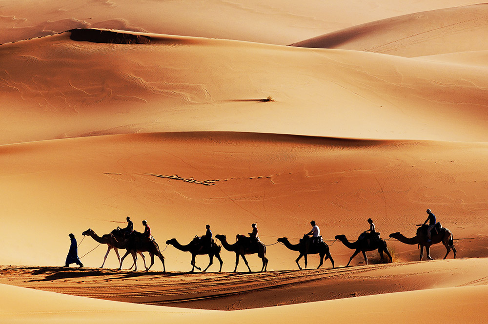 Un groupe se promène sur des chameaux dans le désert