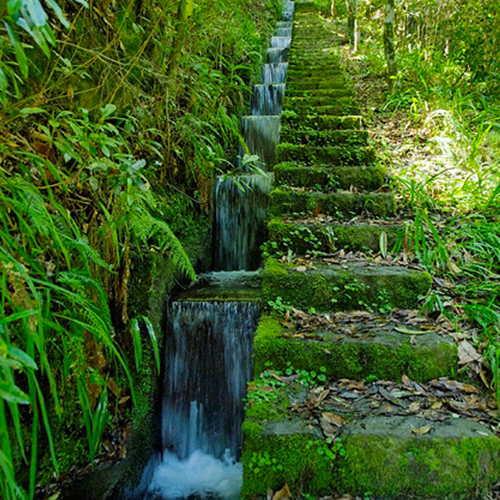 Nombreuses petites chutes longeant un escalier recouvert de mousse