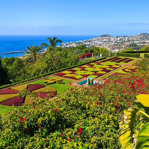 Magnifique jardin botanique avec vue sur la mer