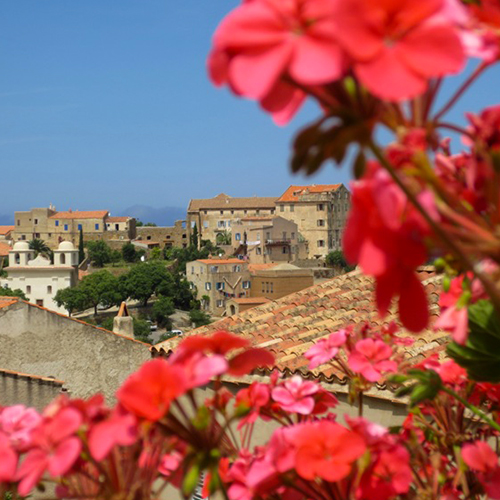 Village pittoresque et fleurs rouge à l'avant
